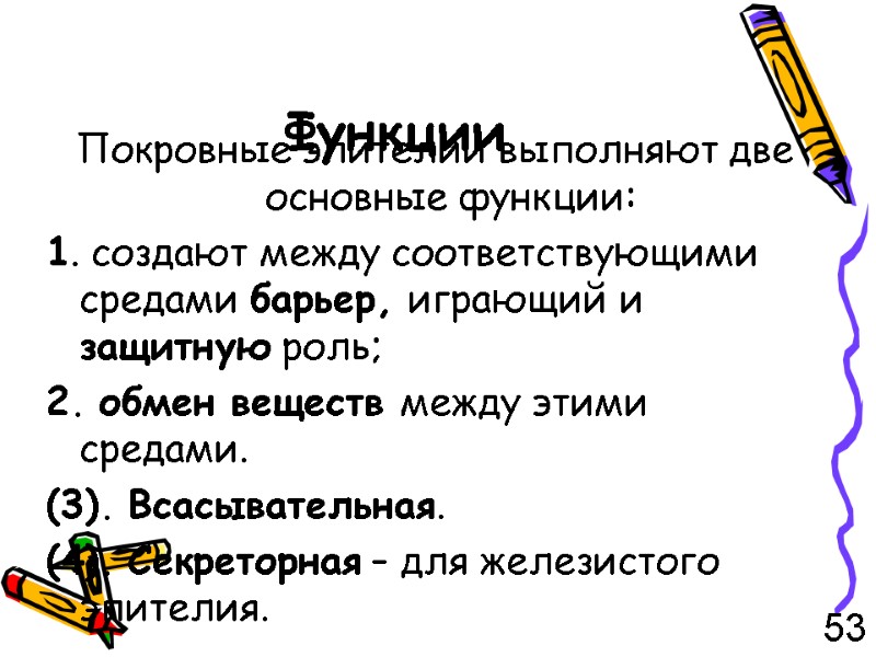 Функции  Покровные эпителии выполняют две основные функции: 1. создают между соответствующими средами барьер,
